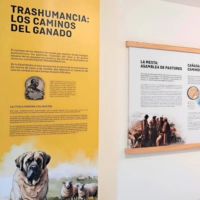 Transhumance - The paths of livestock